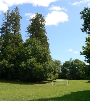 vue sur un terrain arbor avec au centre un espace herbor propice au sport avec la presence d'une barre de foot. de pars et d'autre du terrain, plusieurs trs grand sapin vert.
