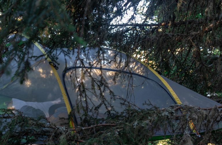 Photo tente suspendue dans les arbres Chamrousse